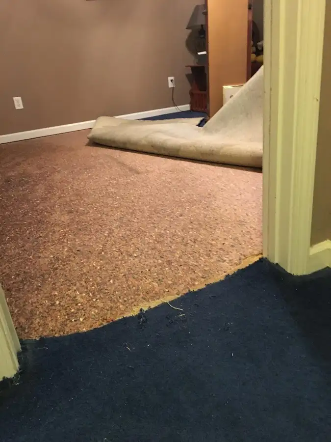 Carpet pad removal revealing water damage during Drying & Dehumidification in Titusville