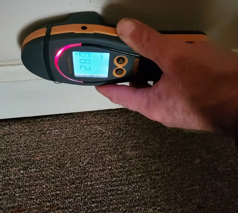 Moisture detection at baseboard during Sewage Cleanup & Sanitation in Titusville